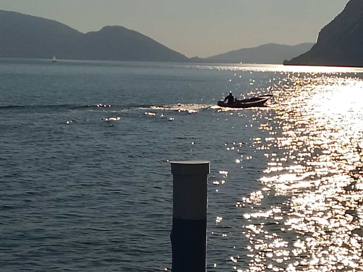 fenam924 tweet media