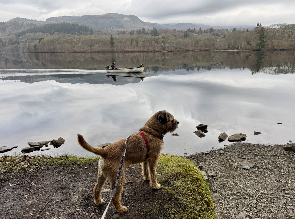 Lord Culter BT 🏴󠁧󠁢󠁳󠁣󠁴󠁿 Order of the IT tweet media