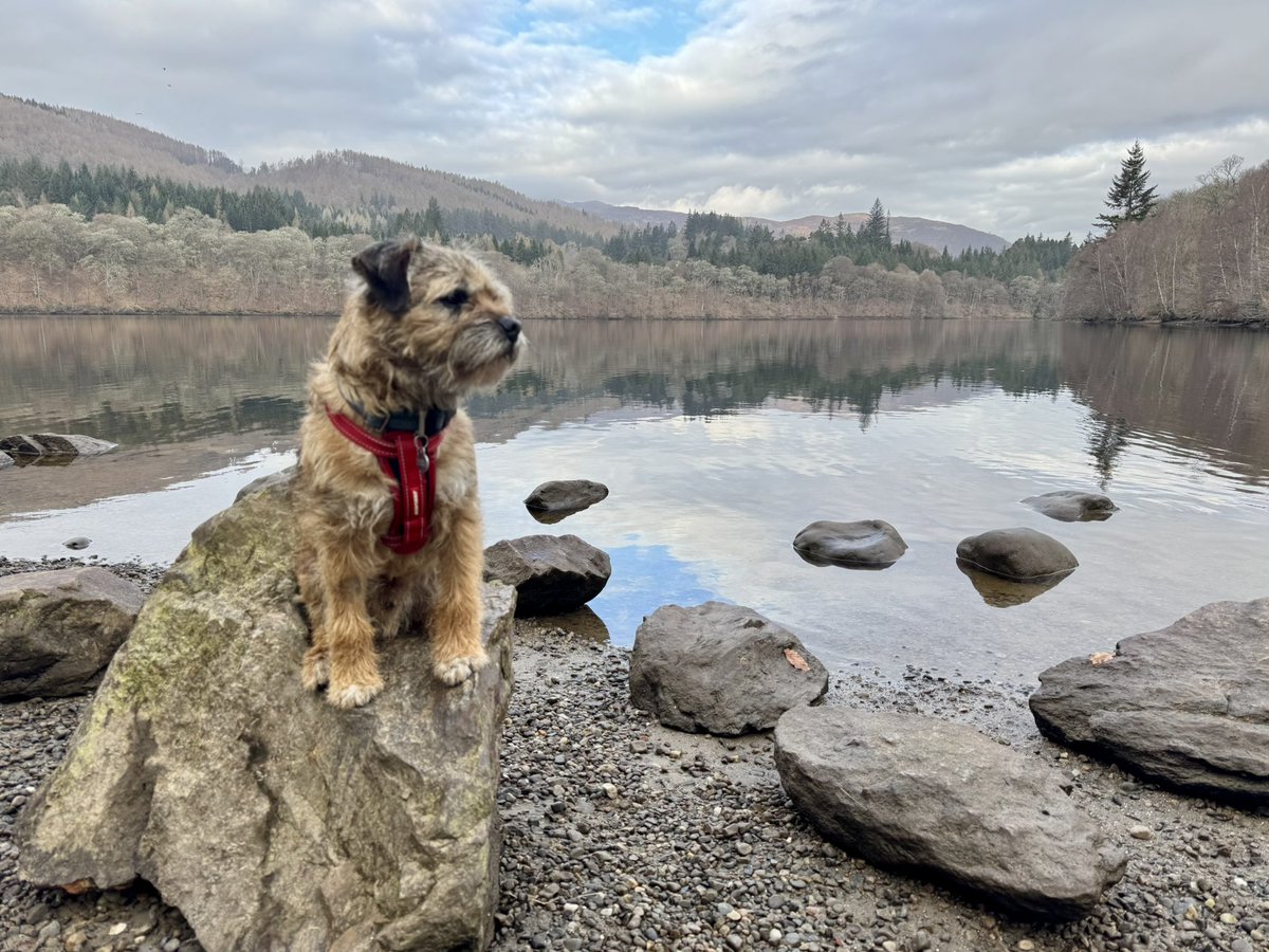 Lord Culter BT 🏴󠁧󠁢󠁳󠁣󠁴󠁿 Order of the IT tweet media