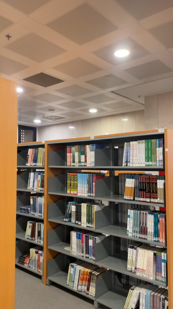 🐈‍⬛ tweet media