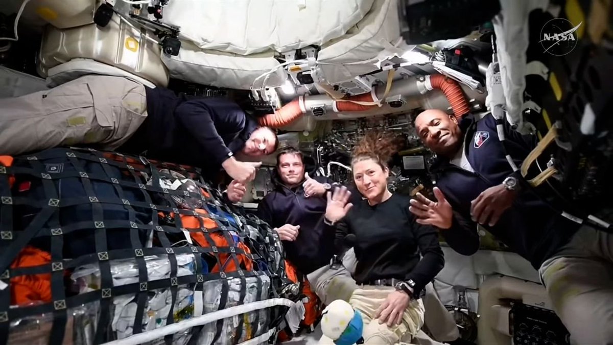 Neural Space tweet media