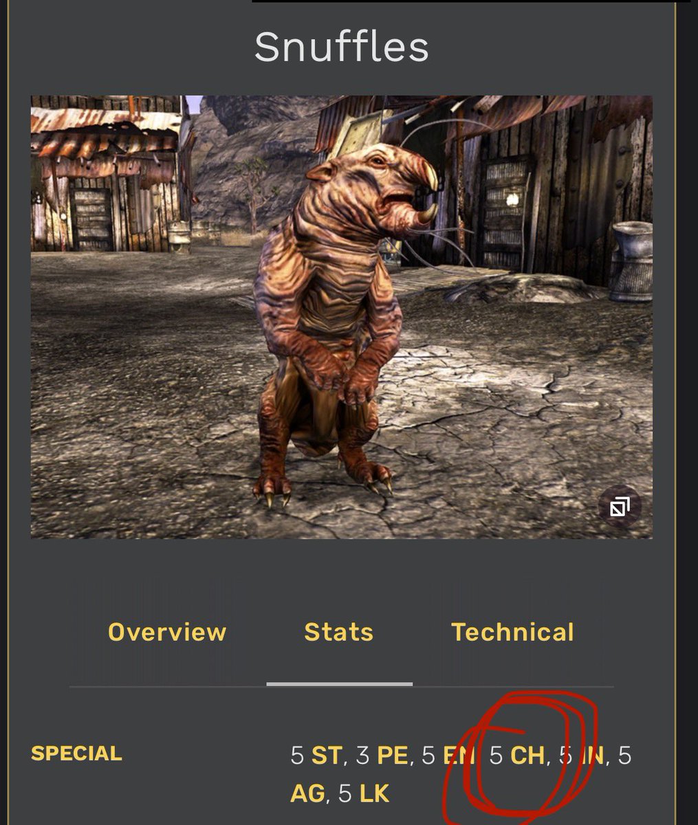 𝘞𝘩𝘪𝘵𝘦 𝘙𝘢𝘣𝘣𝘪𝘵. ᐟ 🎰 tweet media