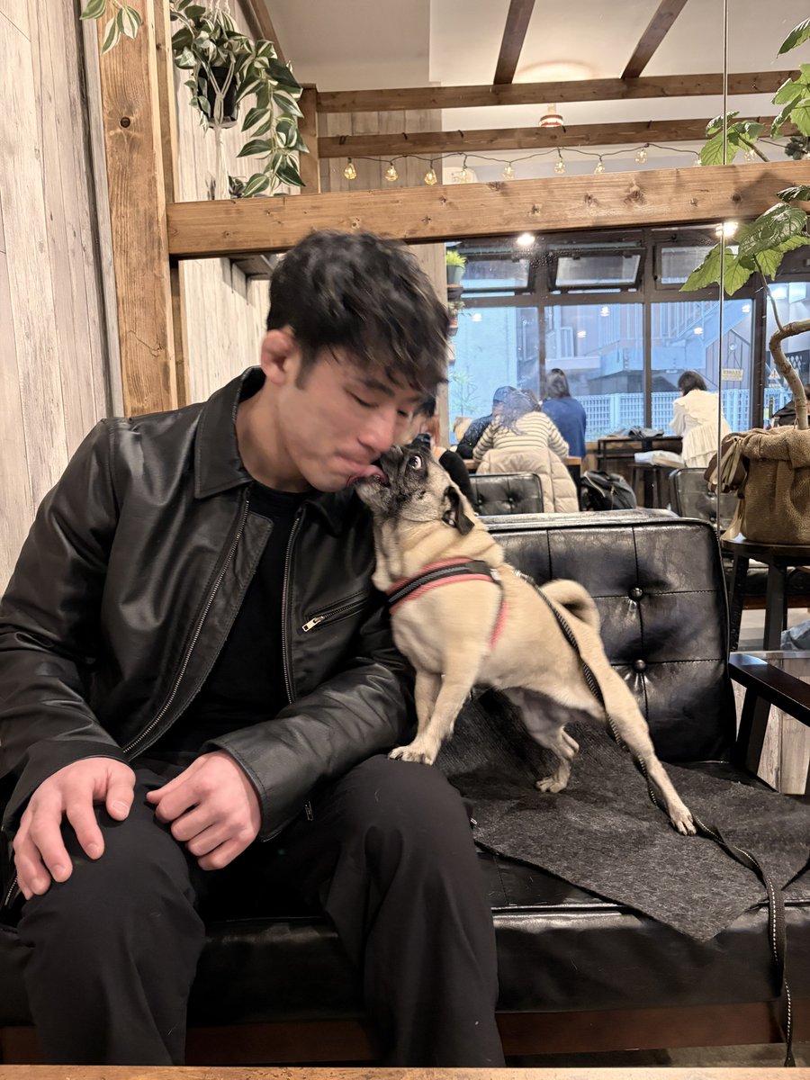 高須将大/肝臓がん tweet media