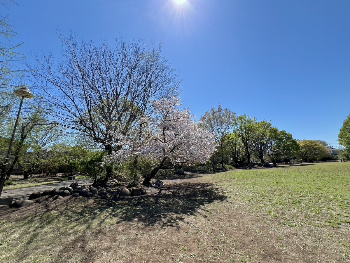 Kenichi ♨ Yumura tweet media