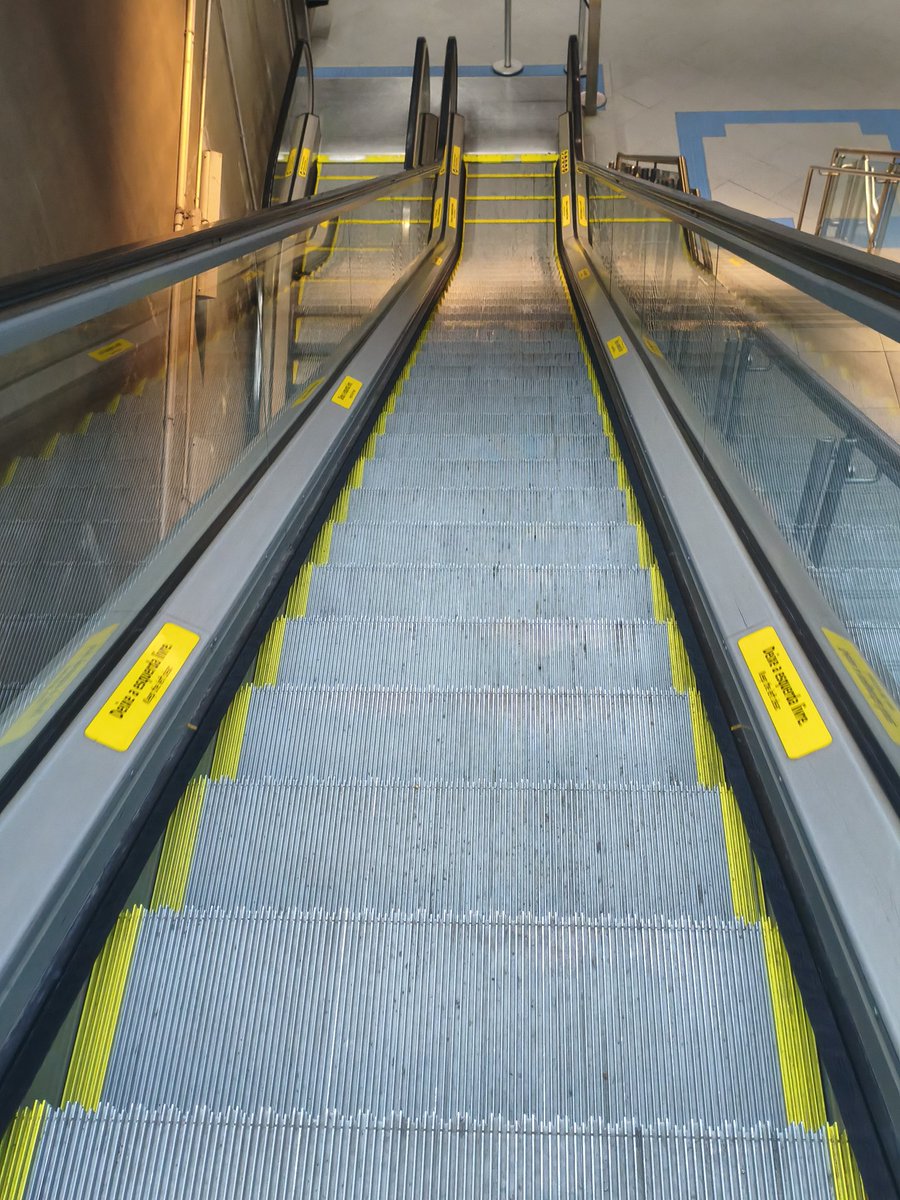 Júleona fã do Redbert 🏆🏆🏆🏆🥇 tweet media