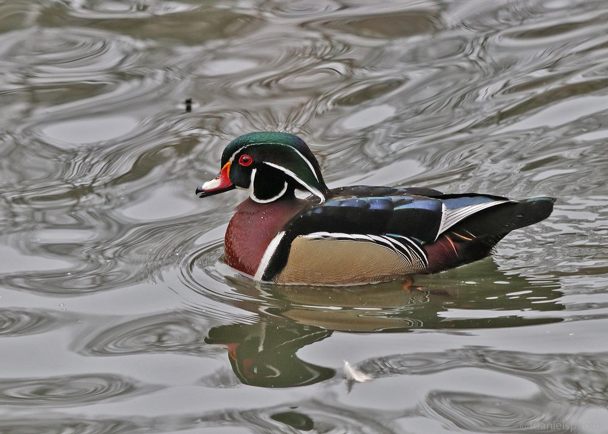 Terry Hlywka tweet media