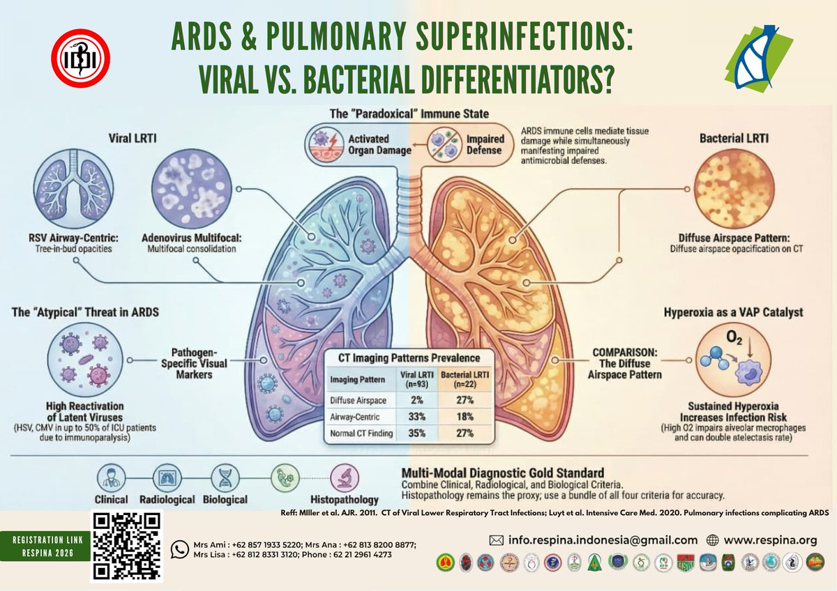 RespinaIndones1's tweet photo. *ARDS &amp; Pulmonary Superinfections: Viral vs. Bacterial Differentiators?*

If You Want To Know More, Join Respina 2026 Now!
https://t.co/Ug2MNSRx9f

Thank you
🙏 https://t.co/9djIODs5bJ