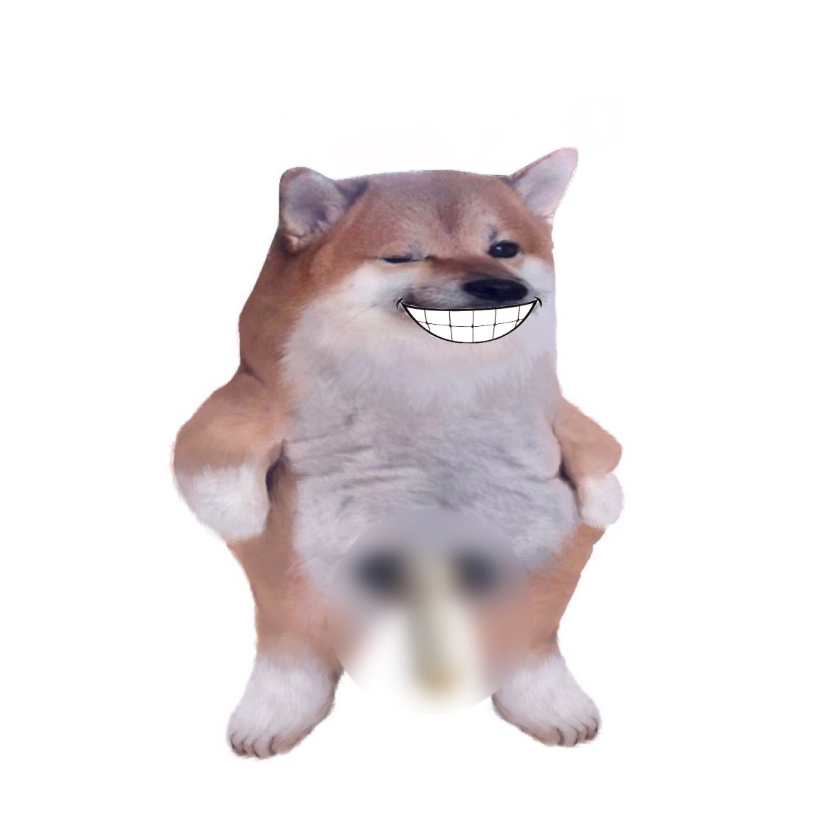 #WeAreNAFO_SOFFella-NED 🇳🇱❤️🇺🇦🇪🇺🫡 (Parody) tweet media