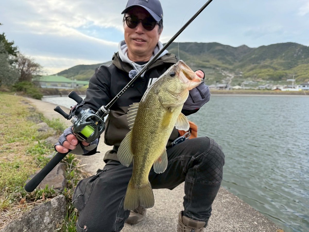 メジャークラフト株式会社 tweet media