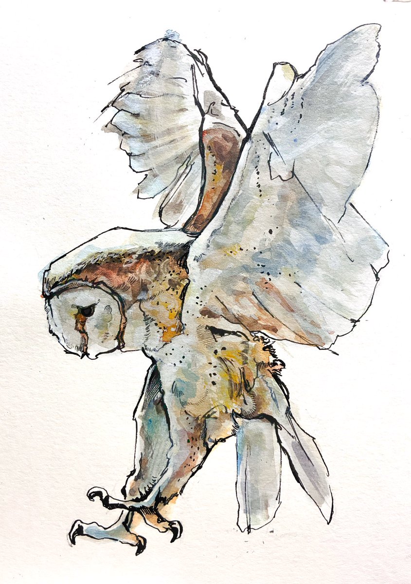 タカハシ シオン【個展4/14-4/19 宮城にて開催】 tweet media