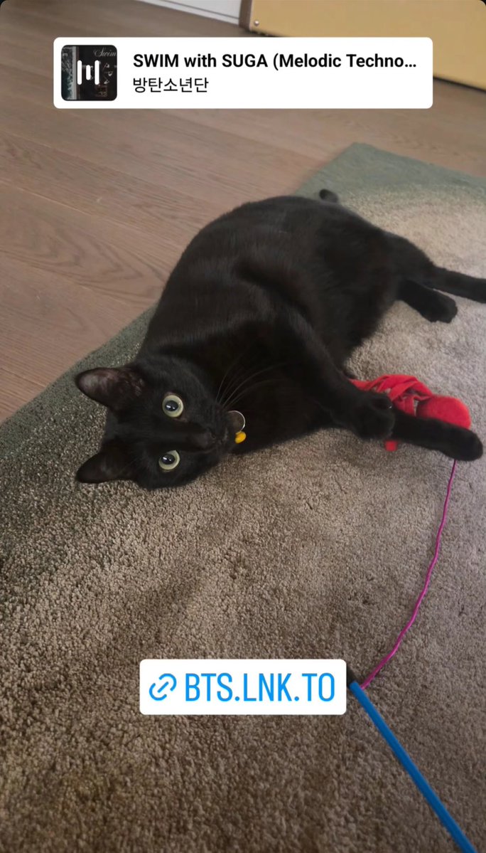 BTS Charts News tweet media