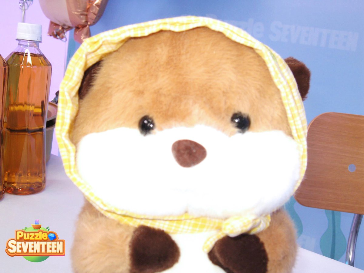 Puzzle SEVENTEEN tweet media