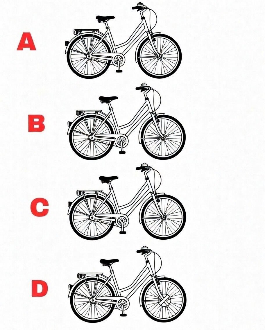 Amber🇺🇸 tweet media