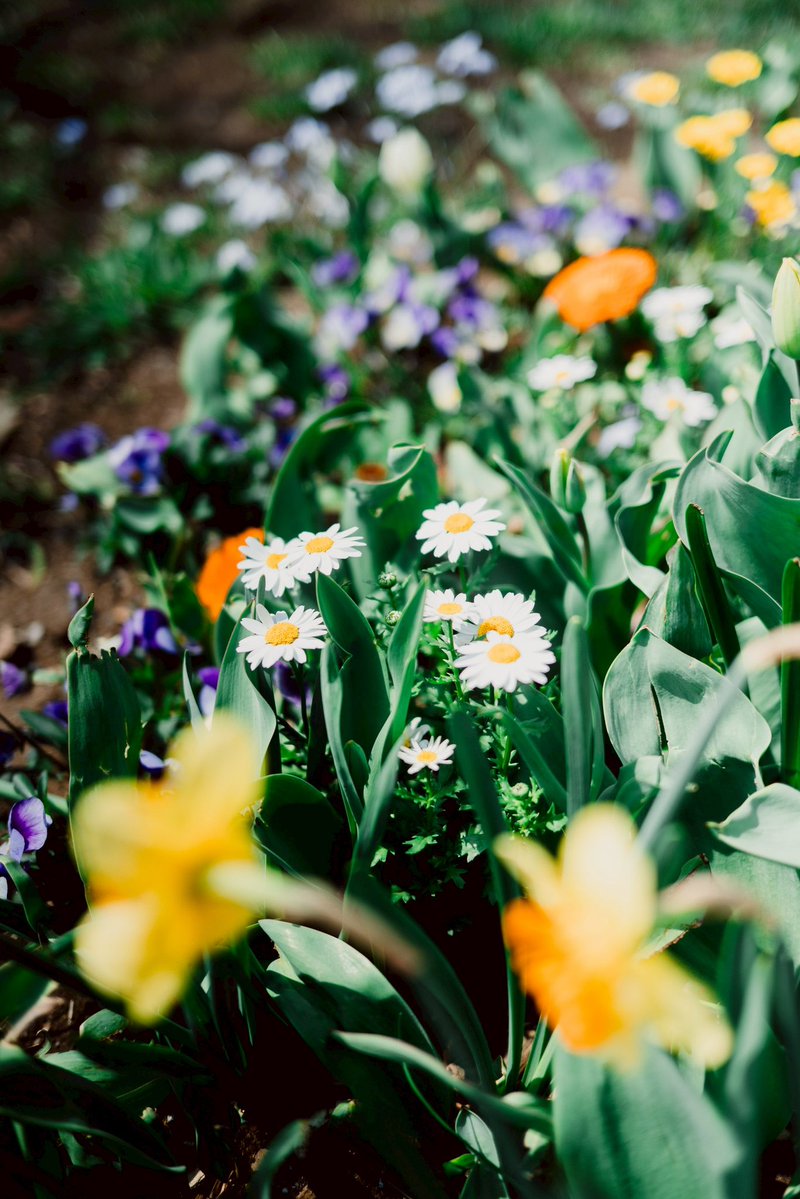 佐藤 恭輔｜Kyosuke Sato tweet media