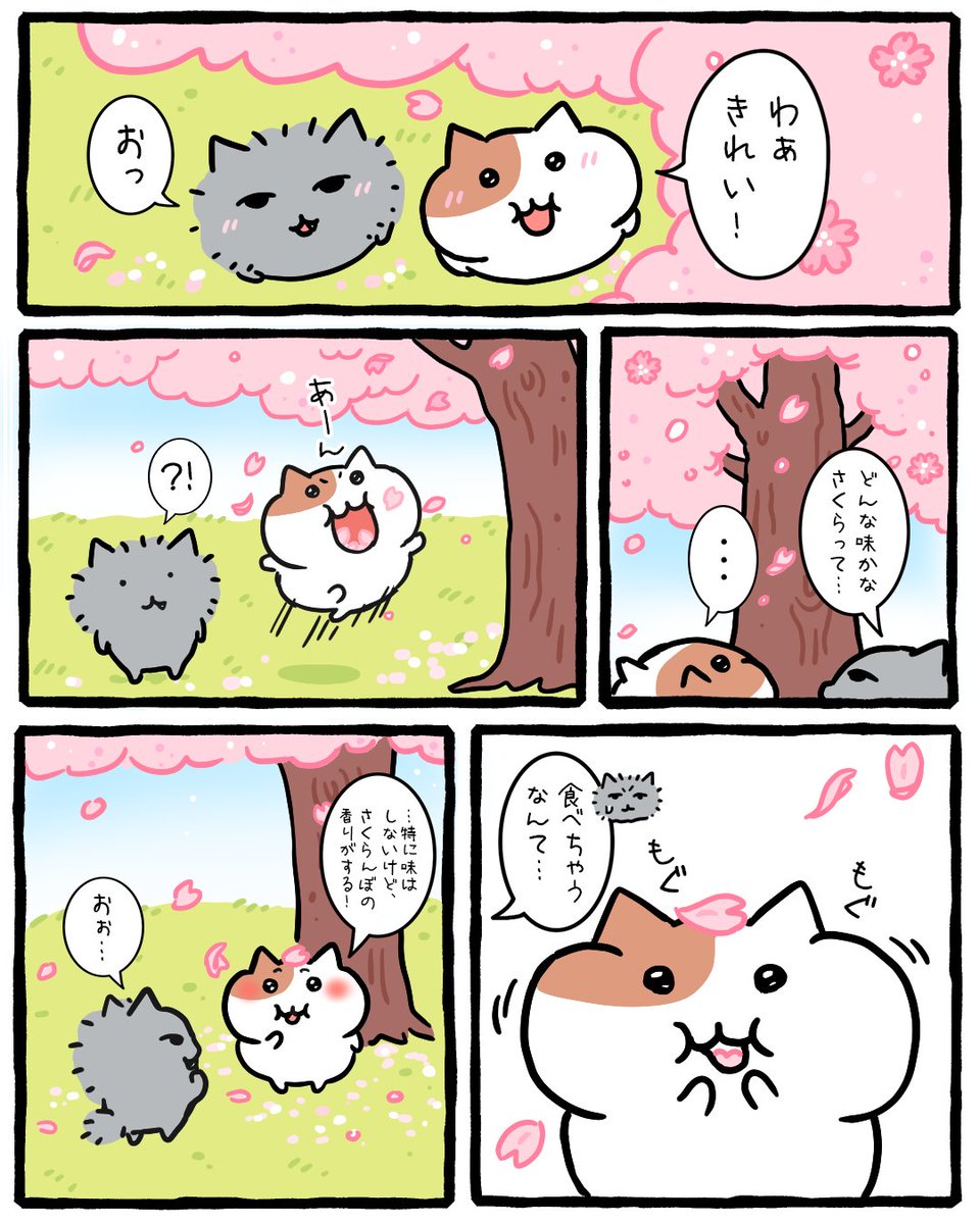 もちにゃみ tweet media