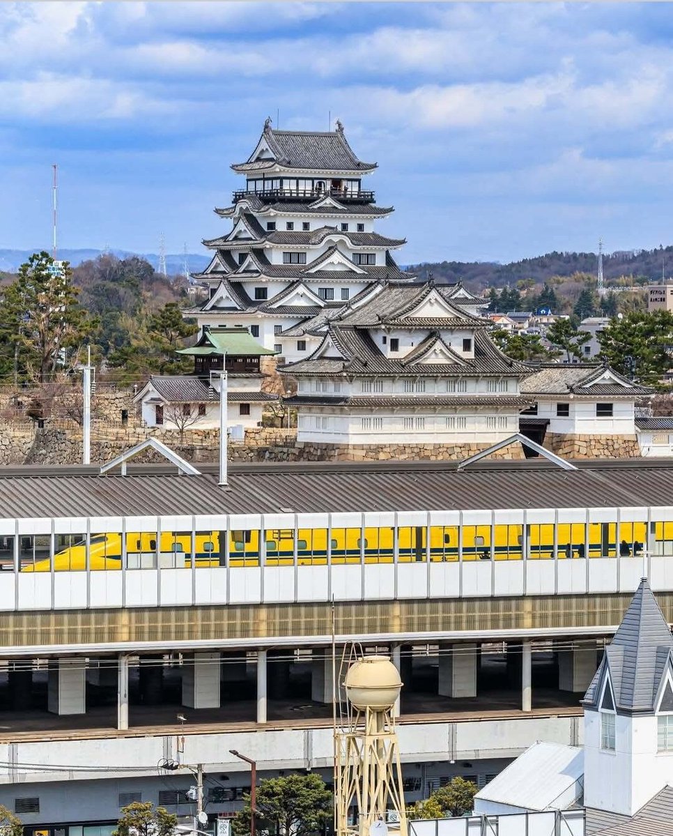 masami🎙️🐈‍⬛ tweet media