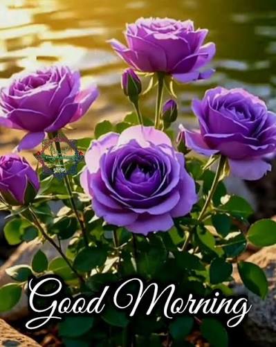 CAtakisi's tweet photo. Good morning all friends 🌹 https://t.co/ETSaR0Apl2