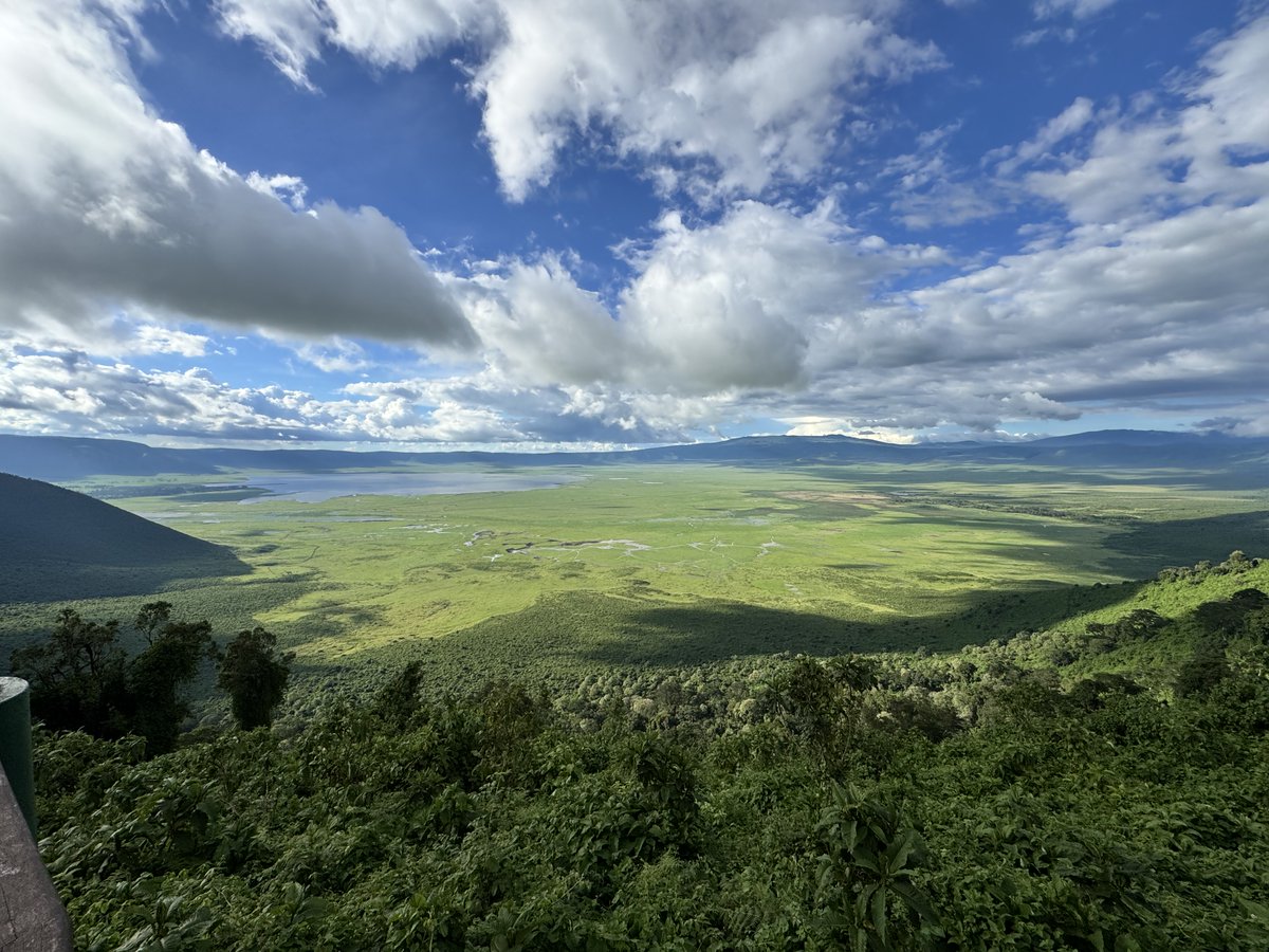 Sam Bennell tweet media