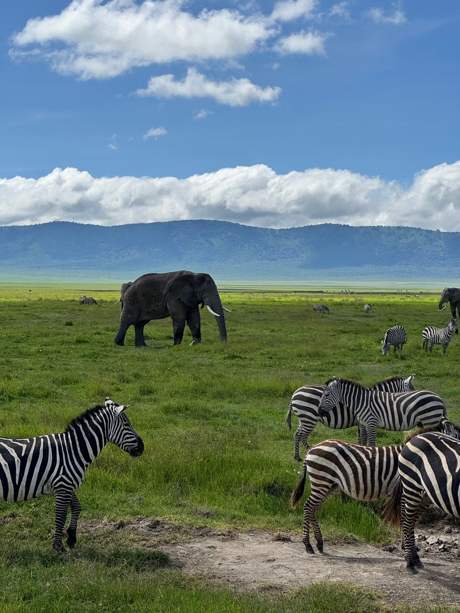 Sam Bennell tweet media