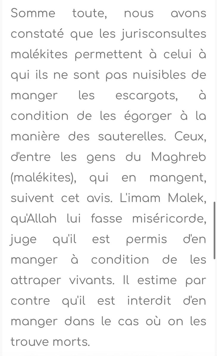 Ayoub🪵 tweet media