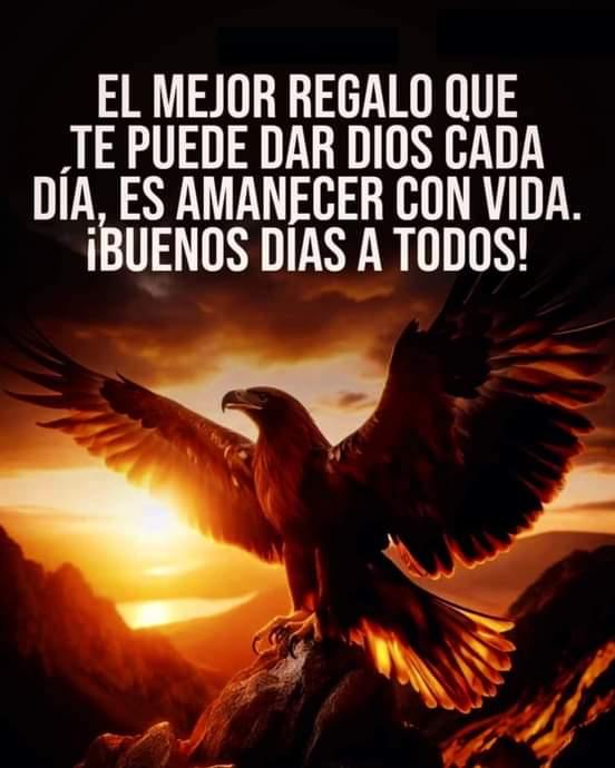 ENCARO🇵🇾📈💻🖥🎬⚽️ tweet media