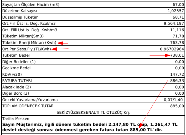 Mustafa Ergüven tweet media