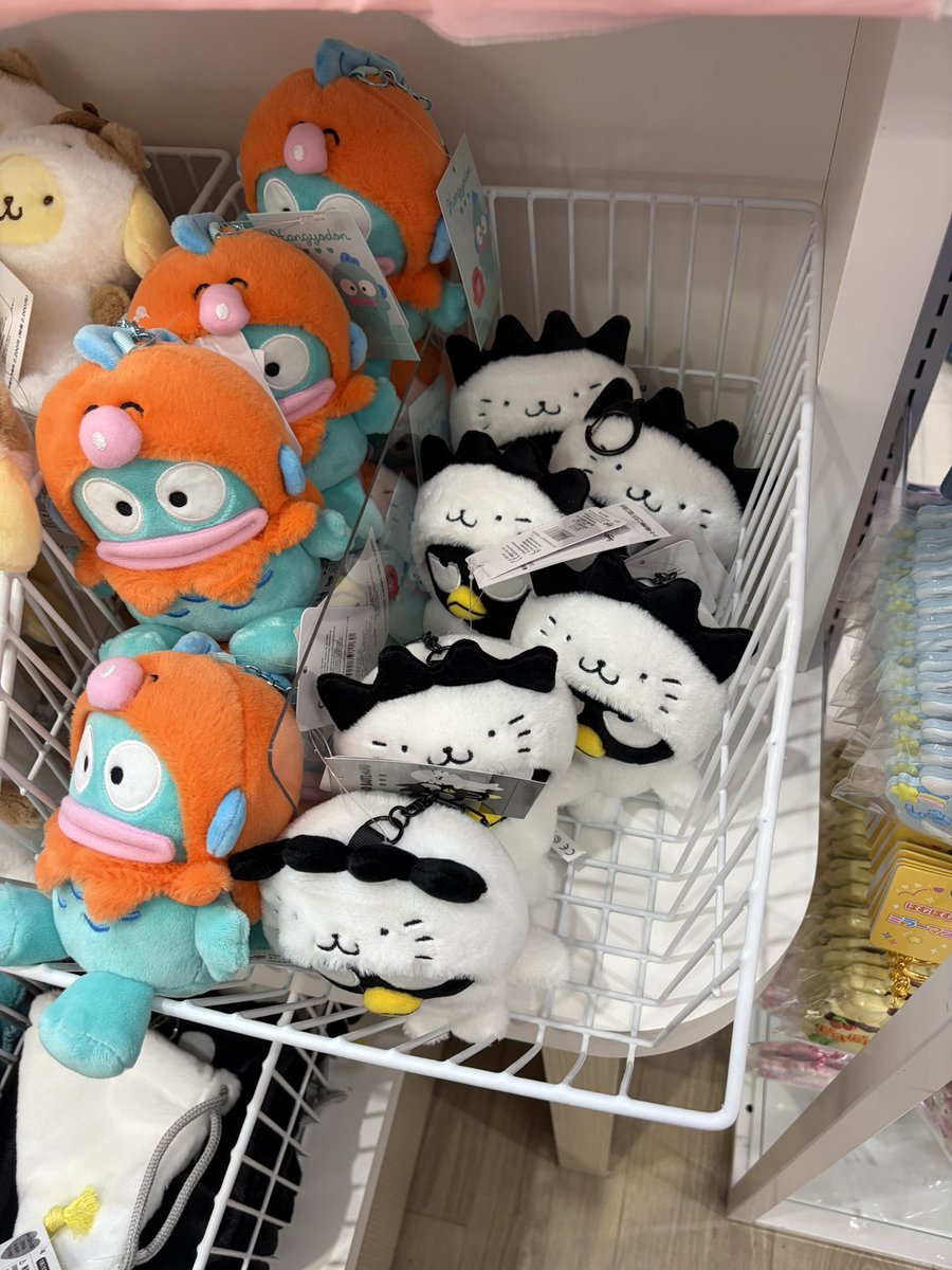 𝕔𝕙𝕒𝕚 🐈‍⬛ tweet media