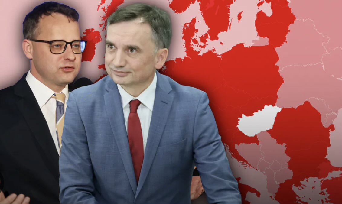 Metakognita tweet media