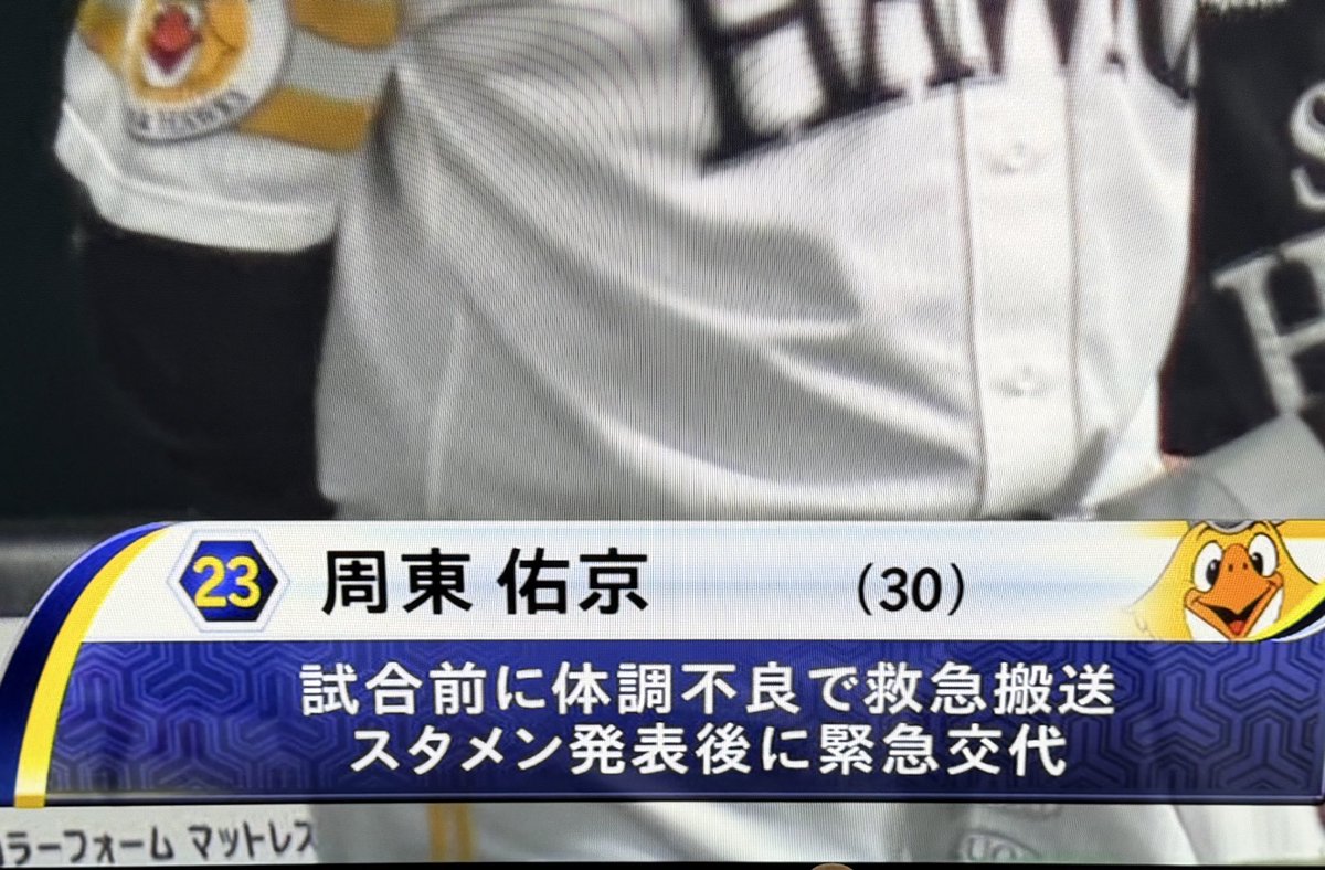 あやぽん🐈 tweet media