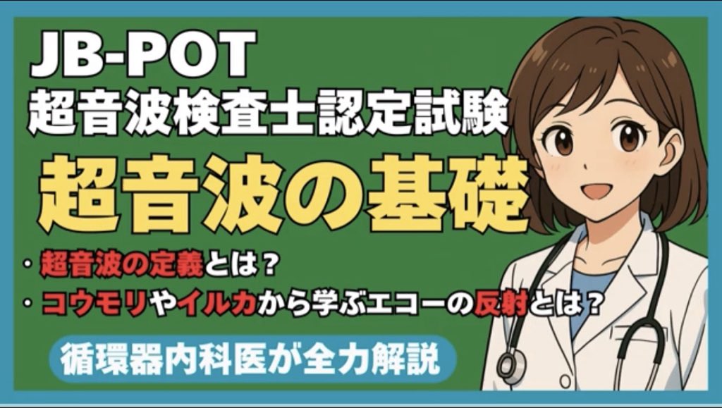 hitsujidoctor's tweet photo. 【JB-POT・超音波検査士の試験】
「エコーの原理」、捨てていませんか？

超音波の基礎を学ぶ動画を作りました！
難しい言葉は一切なし。
身近な例で直感的に理解できます！
エコーの原理は暗記科目じゃありません。
これを機に「原理」を得点源にしませんか？

👇動画はこちら👇
【JB-POT・超音波検査士認定試験①】超音波の基礎 [エコーの原理を徹底解説～] 
https://t.co/yCwyf5yfku @YouTubeより