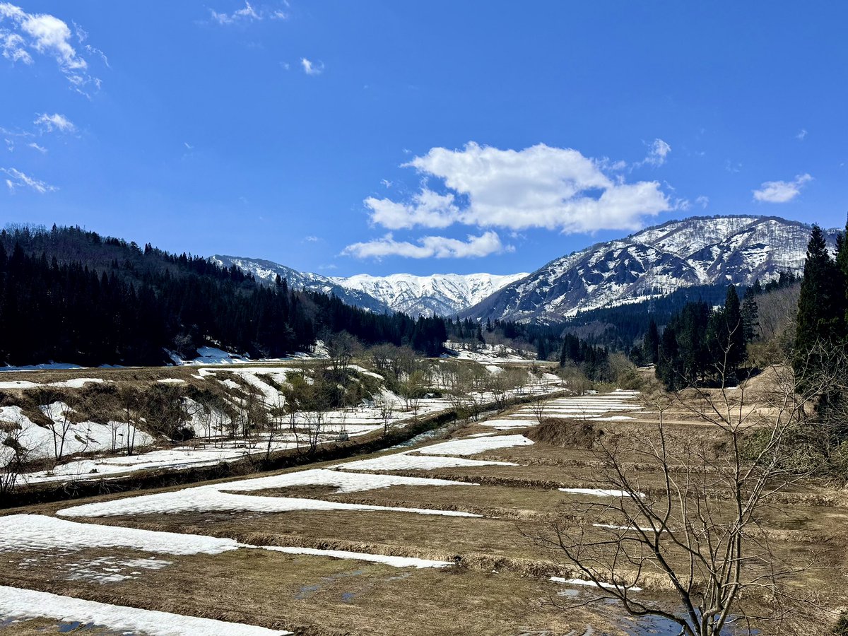 木幡純一｜3年後に道の駅長になる元SE×広報 tweet media