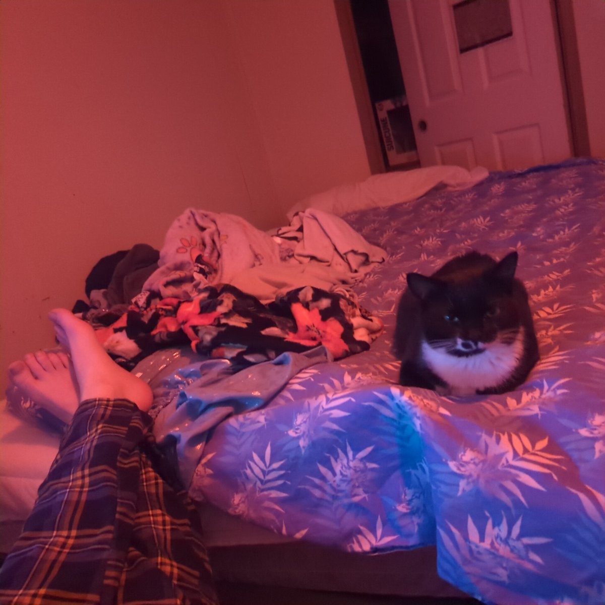 extenuate tweet media