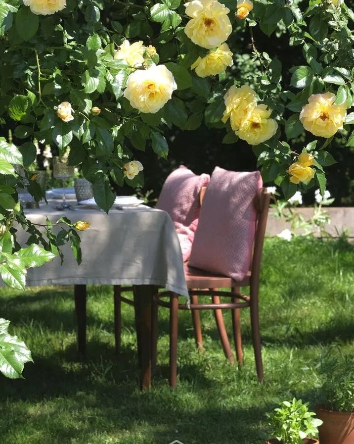 Dr. Shehzad Ayub tweet media