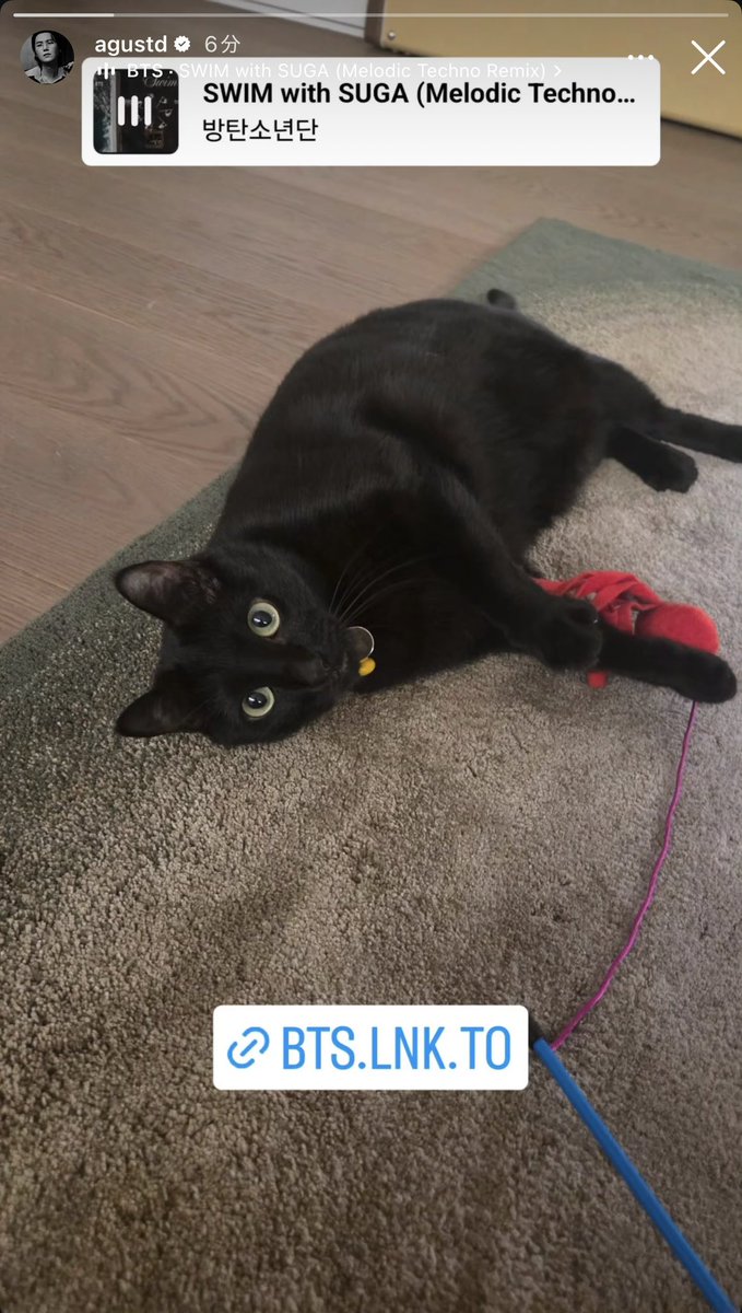 🐱ねこﾀﾝ🐿ﾁｮﾇﾝBTSｶﾞﾁｮｱﾖ tweet media