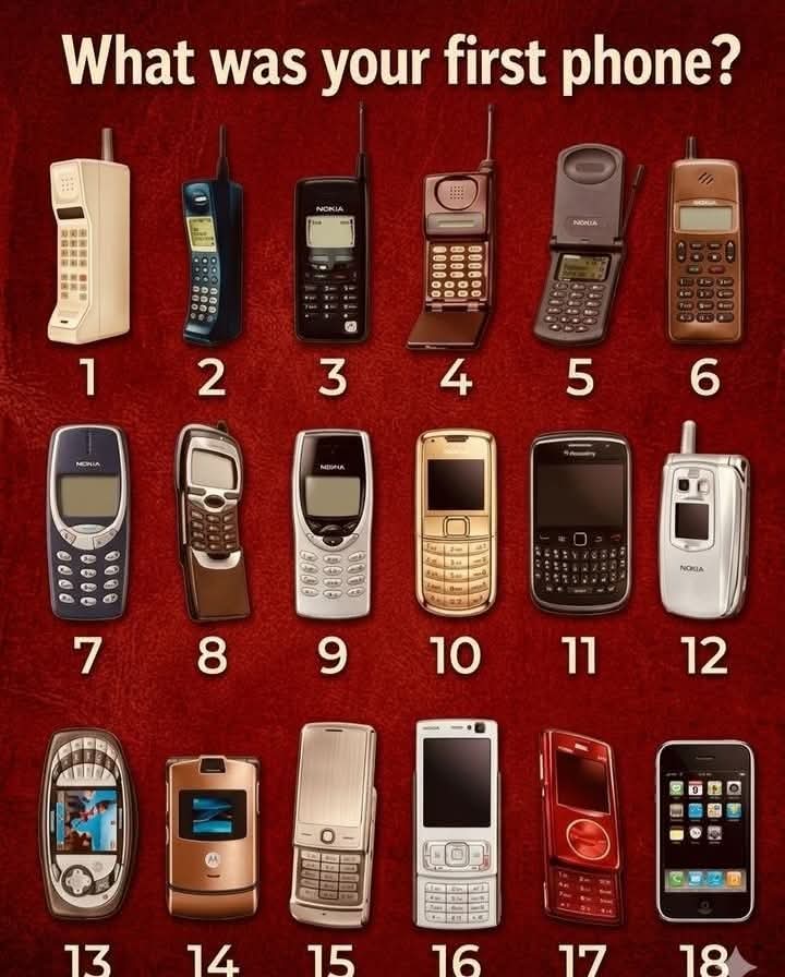 Alice 👑 tweet media