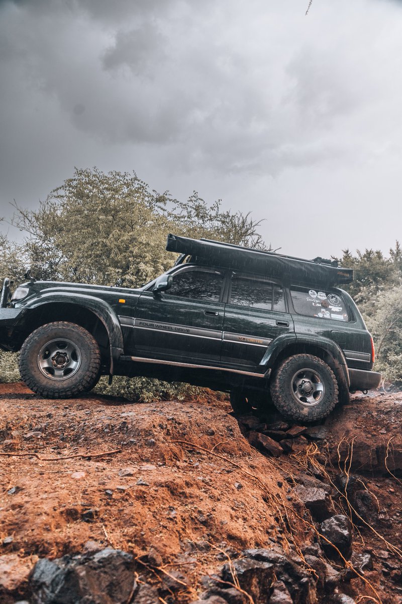 Geco Expeditions tweet media