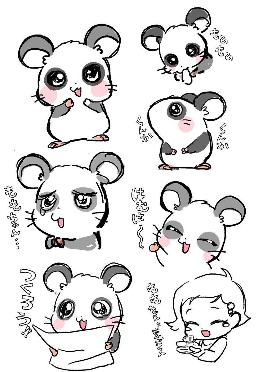 うさ丸 tweet media