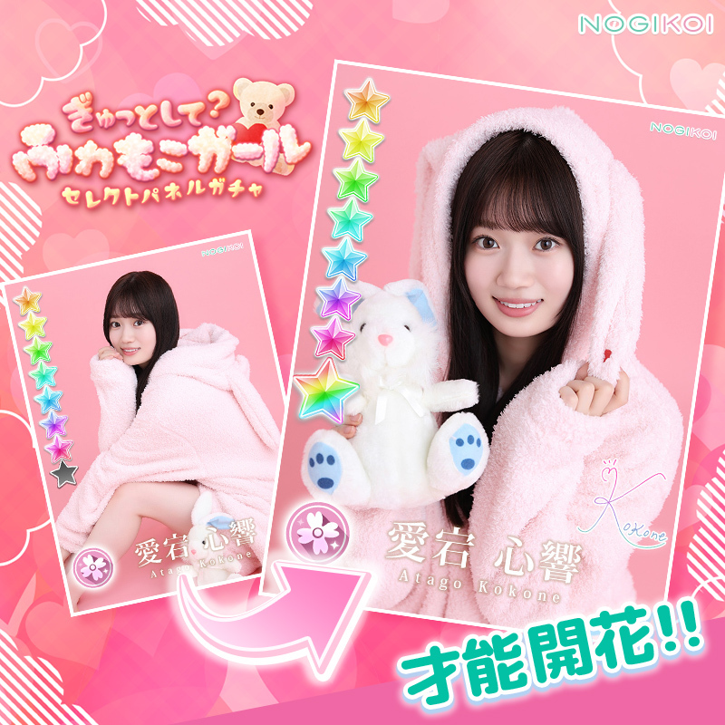 【公式】乃木恋 tweet media