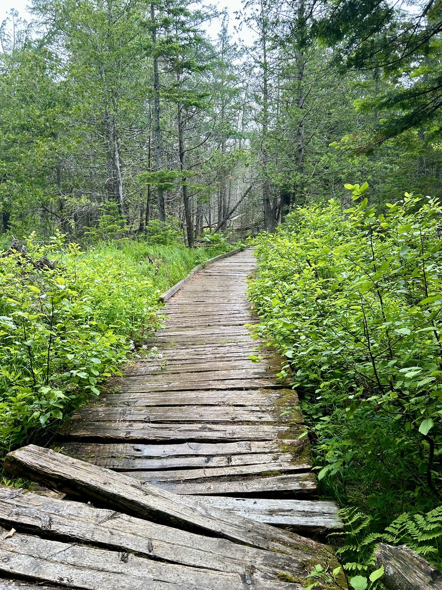 Essau1969's tweet image. #WayBackWednesday 👀💫🥾