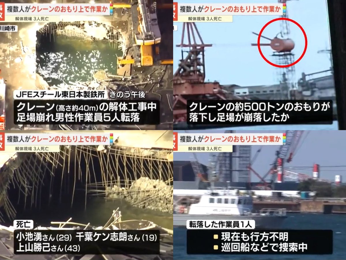 🐾ナンデヤネン tweet media