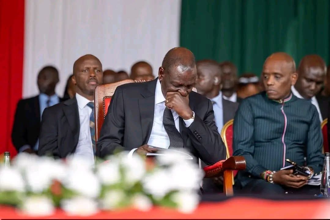 𝙋𝘼𝙐𝙇 tweet media