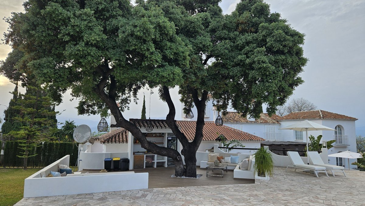 Usman Zafar Cheema tweet media