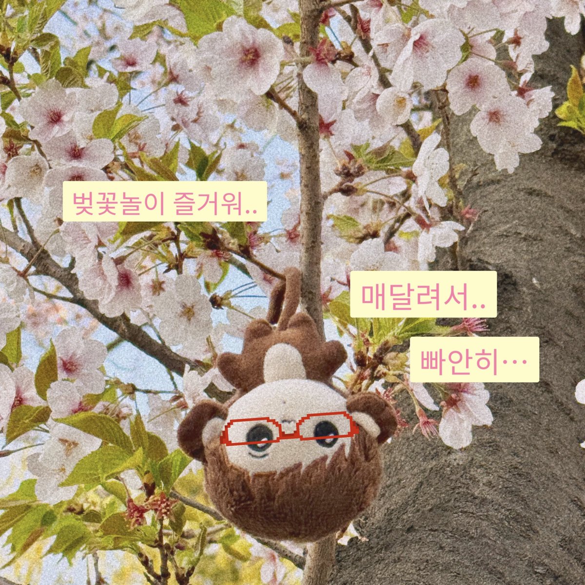 엄숭현(배송완료) tweet media
