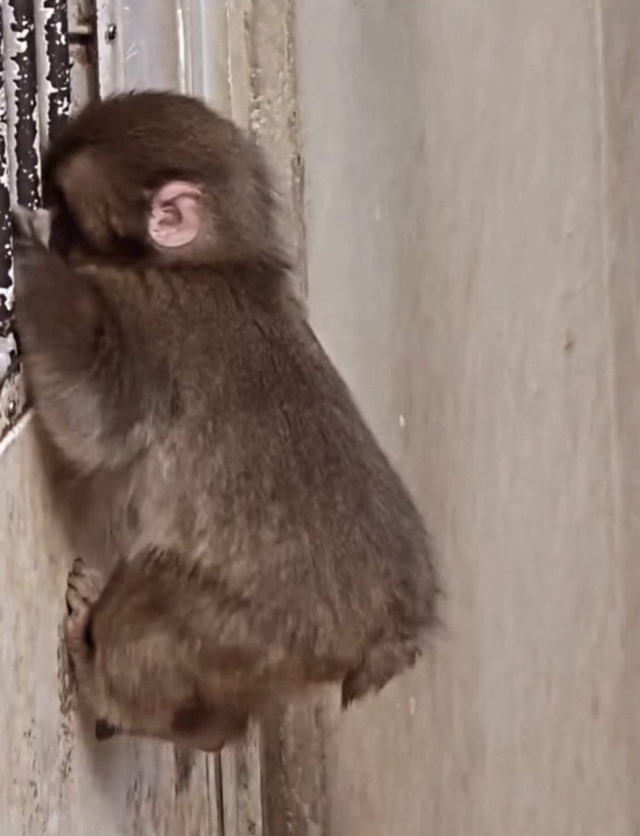 baekhyun_a tweet media