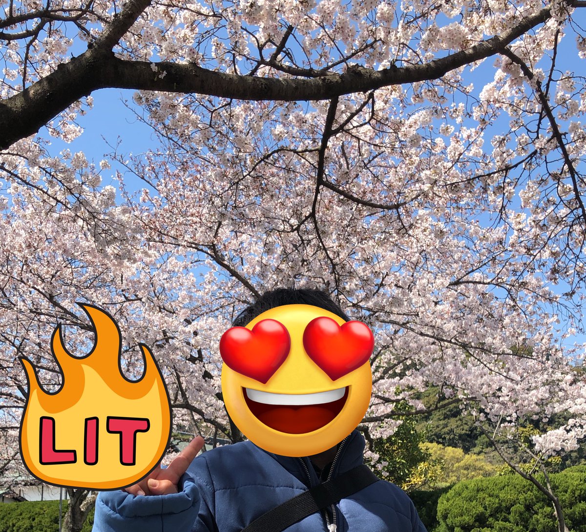 よしー|『物販×自動化の教科書』著者|副業の先生 tweet media