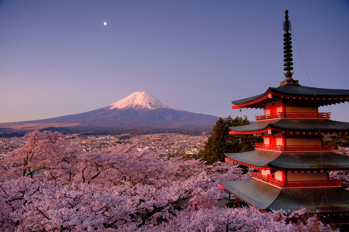 OKうえだ tweet media