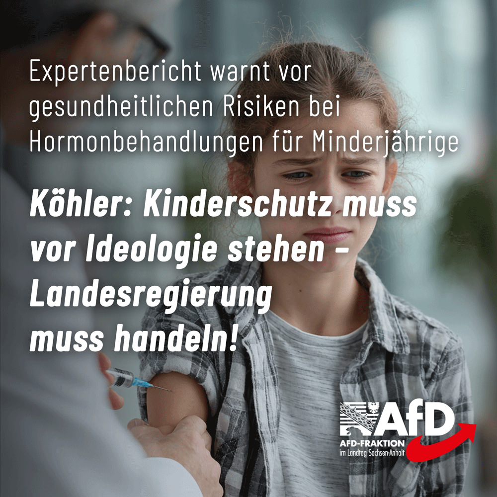 AfD-Fraktion LSA tweet media