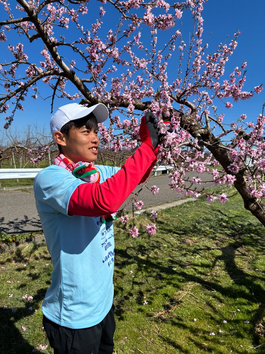 福島ユナイテッドFC tweet media