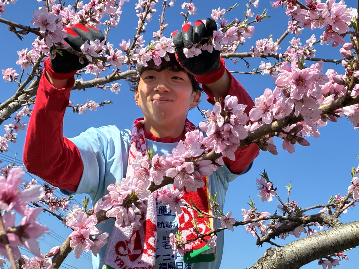 福島ユナイテッドFC tweet media