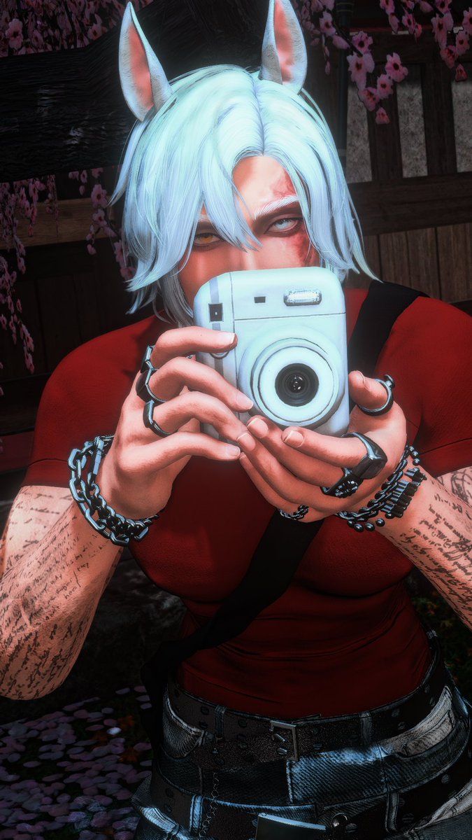 Kai | Cai 🐴 tweet media